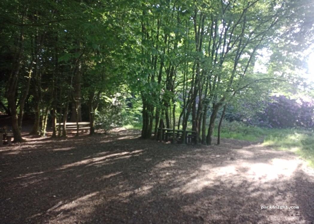 (35340) Liffré - Mi Forêt — foto 3