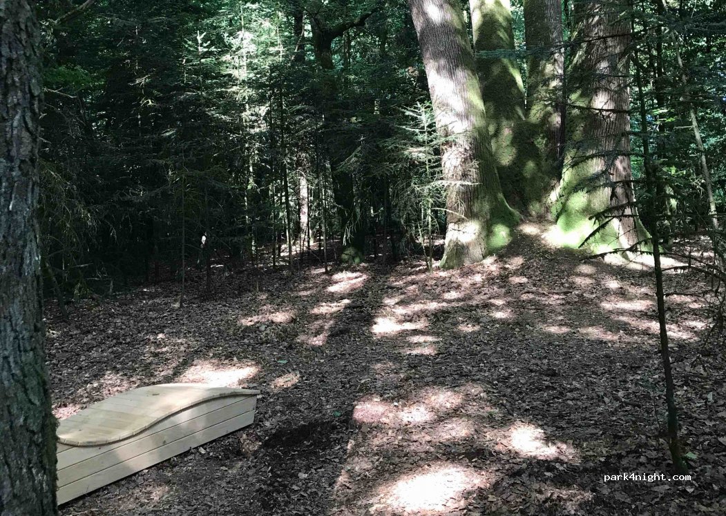 (35340) Liffré - Mi Forêt — foto 4