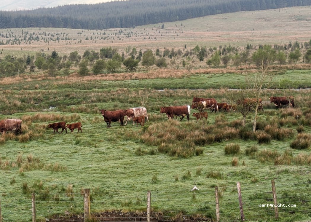 (ML12 6TJ)  - Unnamed Road — foto 2