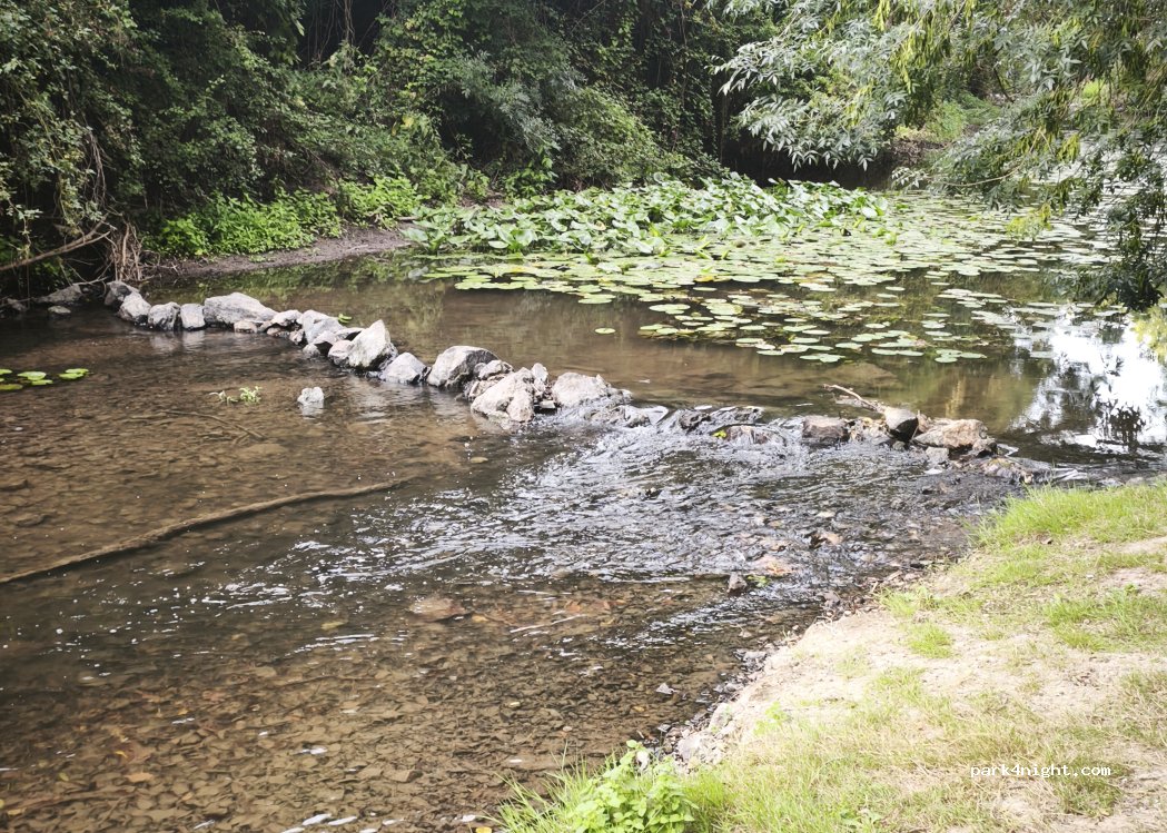 (49540) Martigné Briand - D167 — foto 5