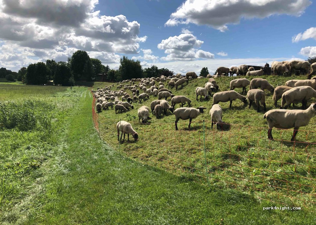 (21706) Drochtersen - 3 Dornbuscher Hafenstraße — foto
