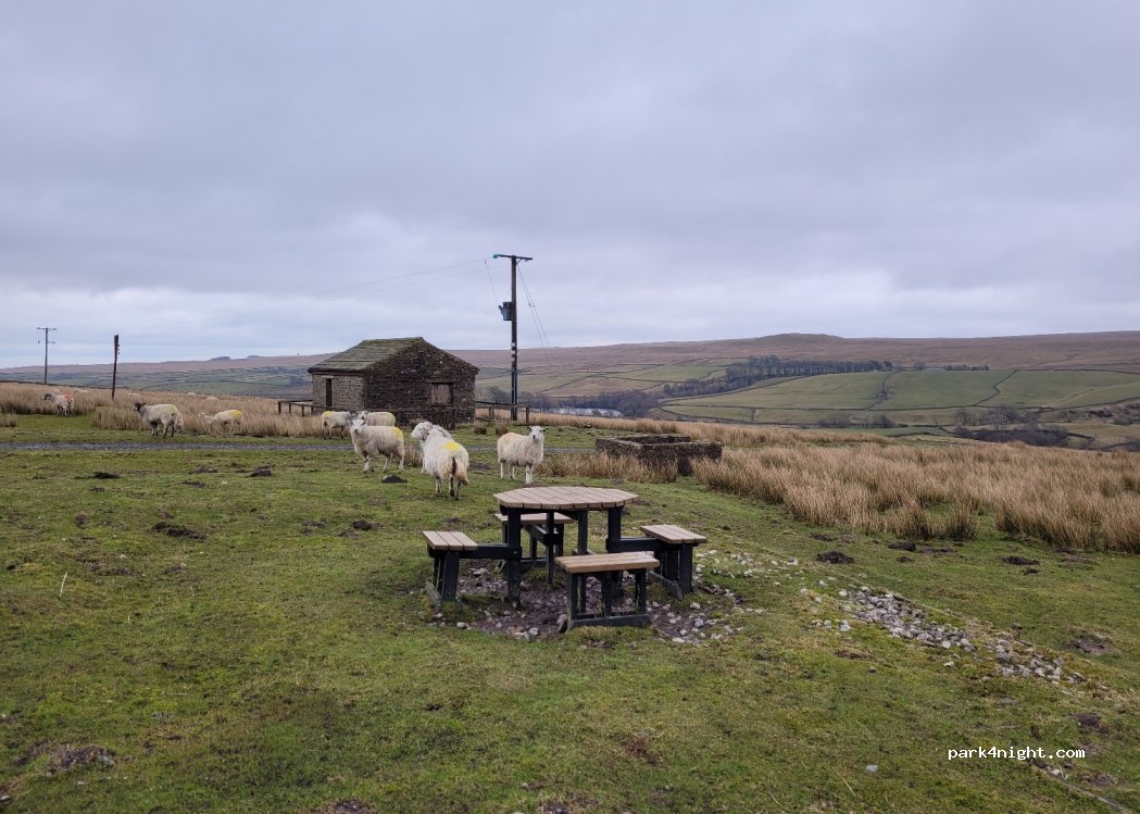 (DL12 9UX)  - Unnamed Road — foto 4
