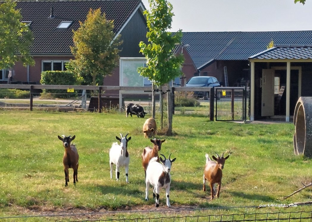 camping 't Katreel Haaksbergen — foto 4