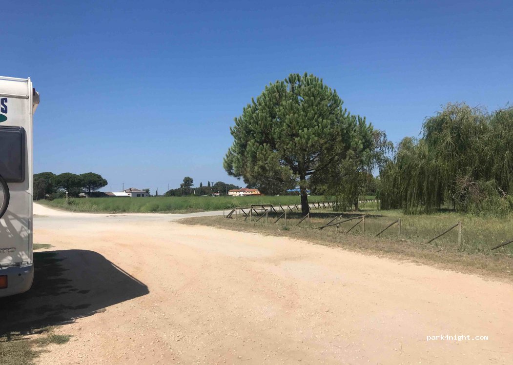 (44026) Bosco Mesola - 2 Via Vecchia Corriera — foto