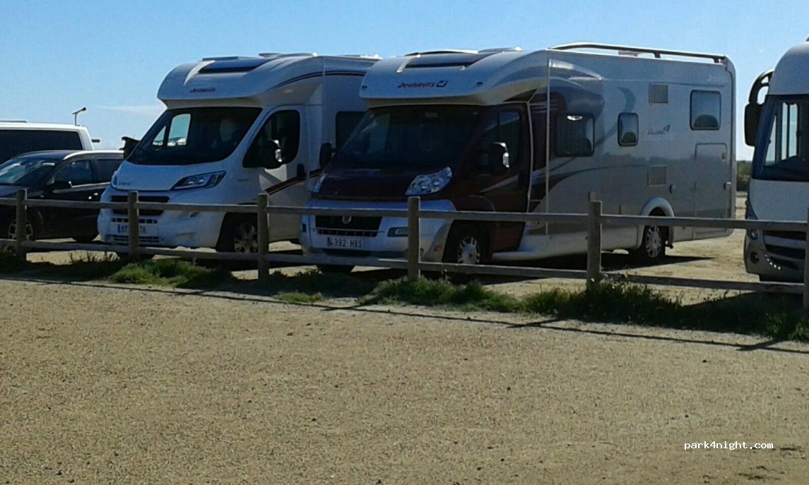 (43870) L'Eucaliptus - — foto