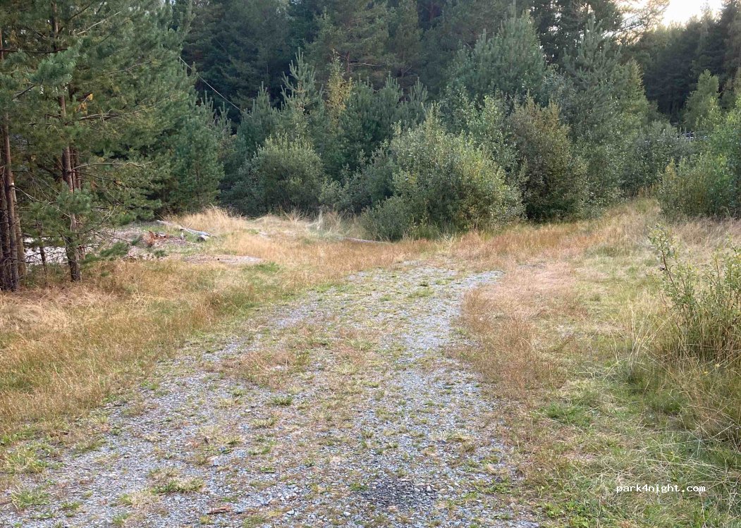 (3539) Flå - — foto 2