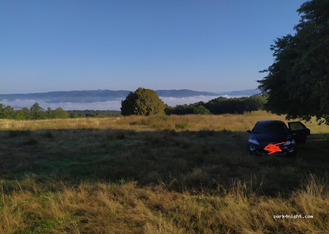 () - Strada Codrului — foto