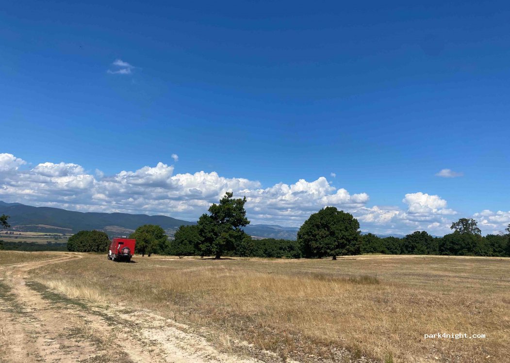 () - Strada Codrului — foto 2