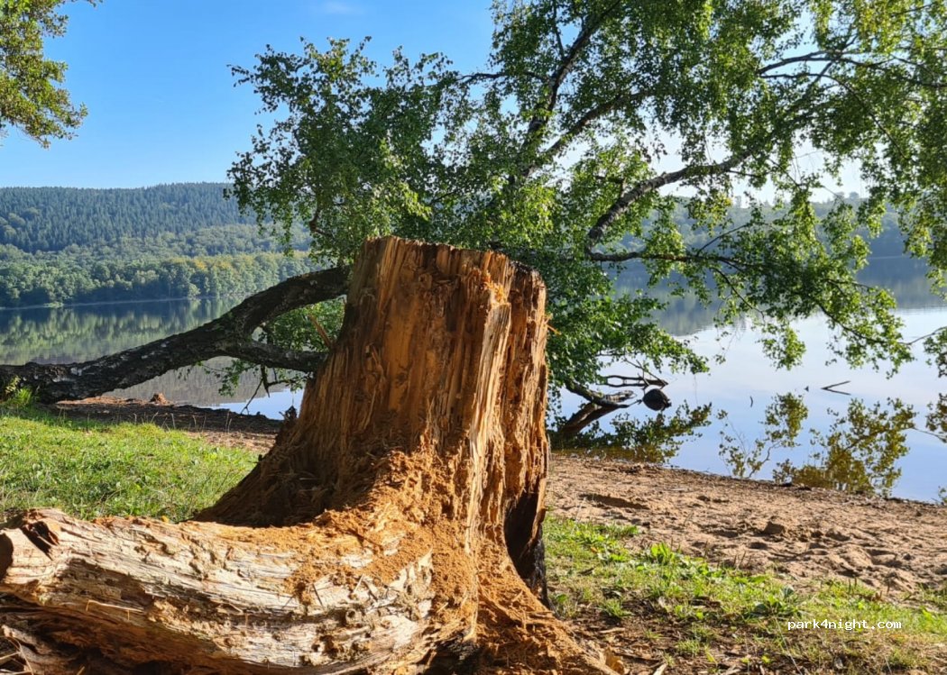 (266 95) Munka-ljungby - 381-325 Rössjöholmsvägen — foto 2