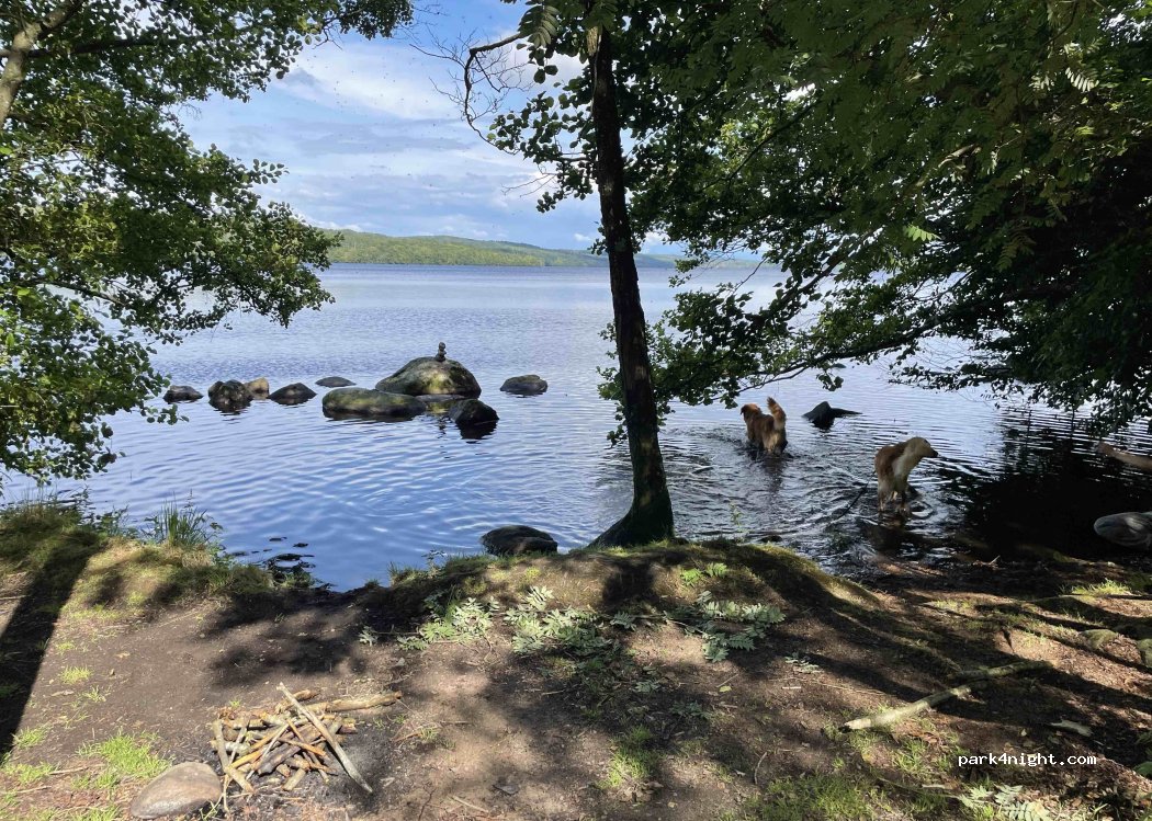 (266 95) Munka-ljungby - 381-325 Rössjöholmsvägen — foto 5