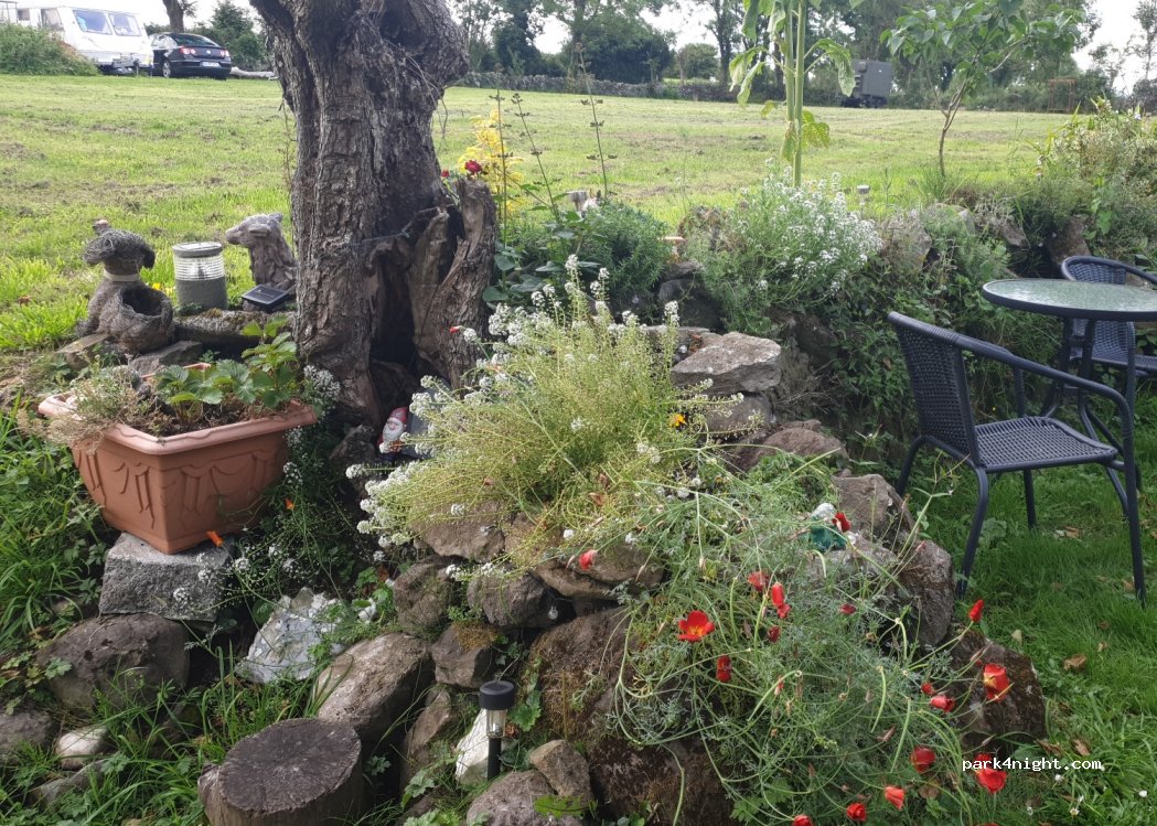 (H54K883) Galway / Mayo - Sandras field, Cloongawnagh, Tauanagh east, Kilconly. — foto 3
