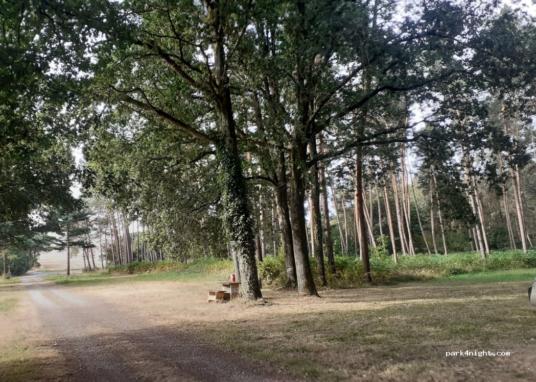 (56490) Mohon - Unnamed Road — foto 3