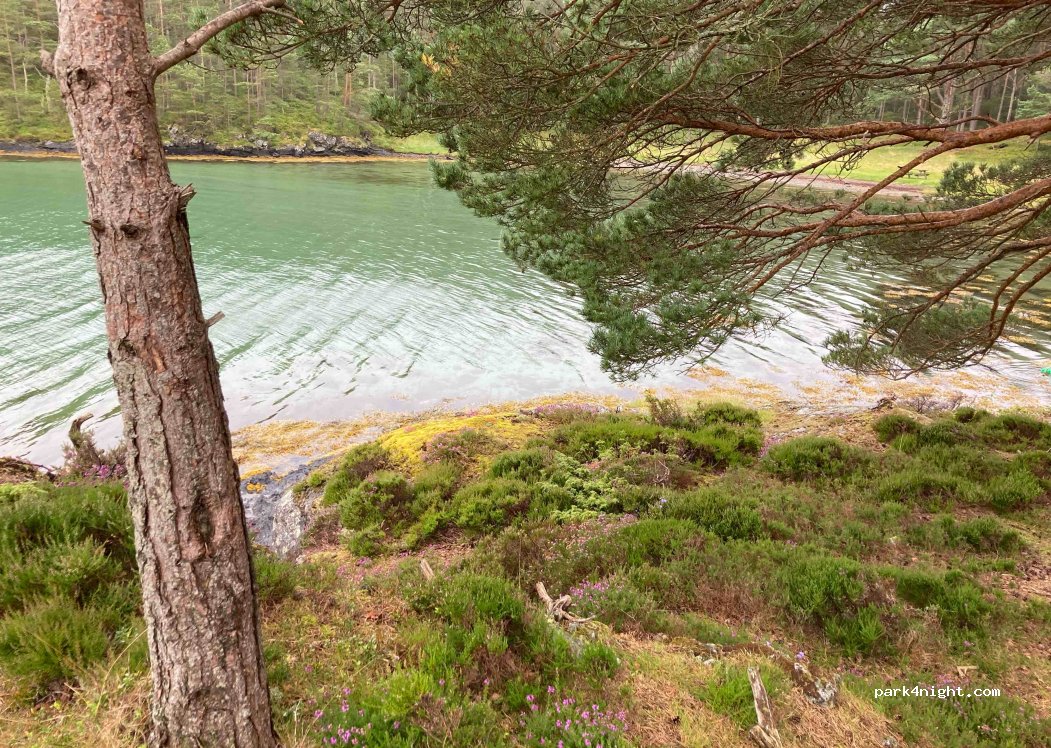 (5412)  - Bremnesvegen — foto 2
