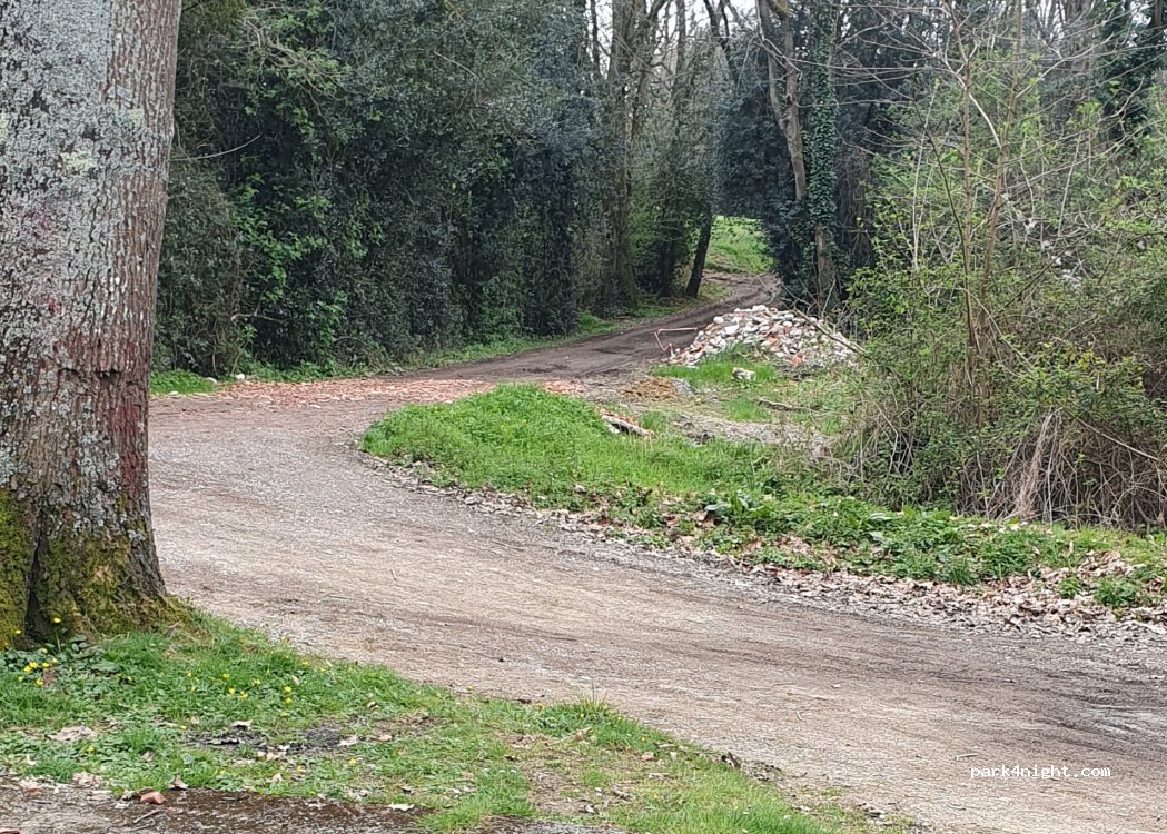 (65690) Barbazan-Debat - Avenue des Sapins — foto 4
