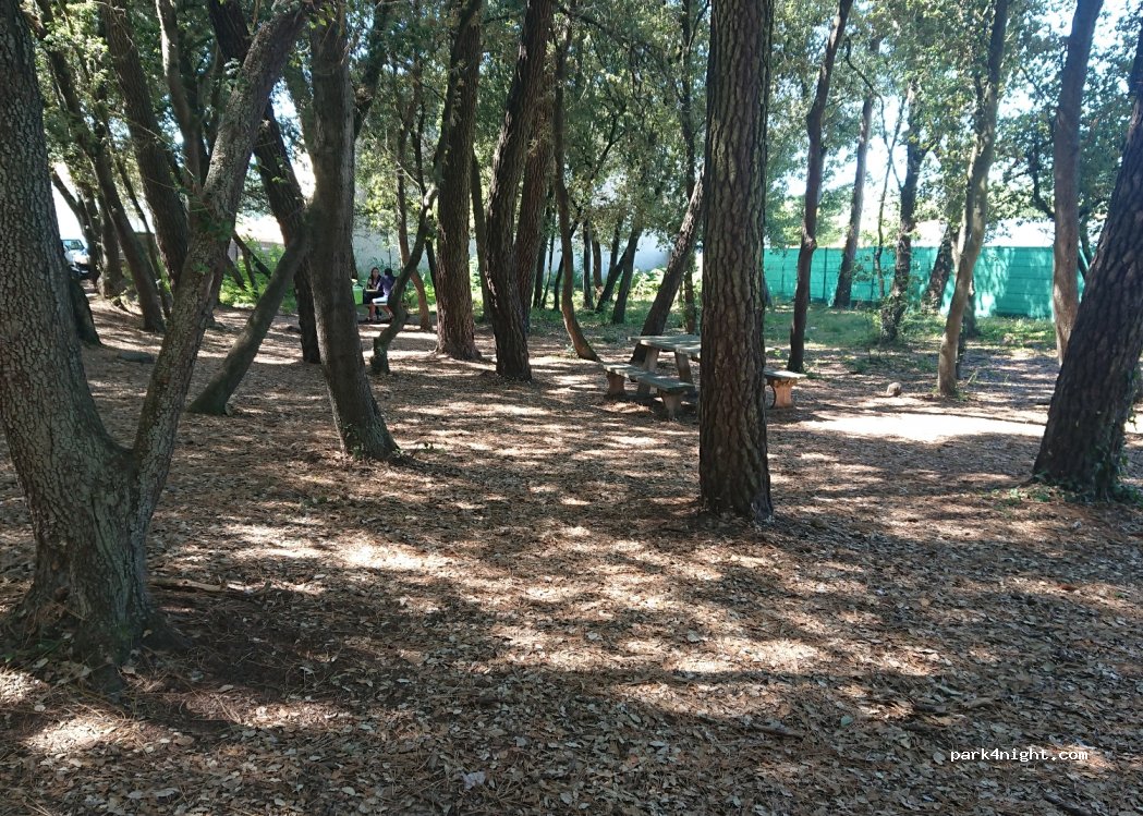 (85440) Talmont-Saint-Hilaire - 759 Avenue de la Plage — foto