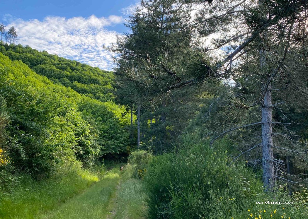 (81290) Labruguière - D53 — foto 2