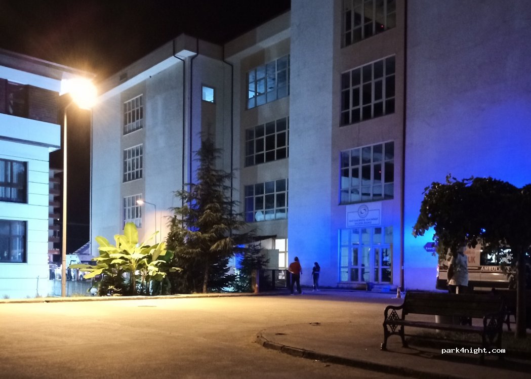 (53340)  - 2 Eski Rize Hopa Yolu — foto 4