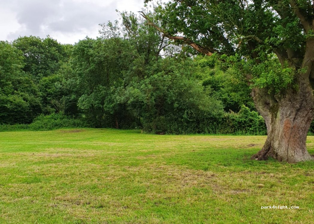 Hill Top Farm Orchard Campsite — foto