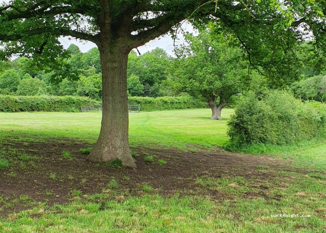 Hill Top Farm Orchard Campsite — foto 2