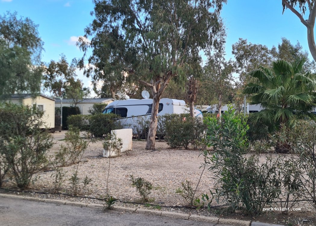 Camping Cueva Negra — foto 3