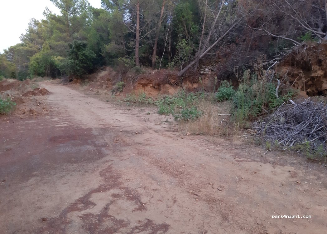 (21469) Sućuraj - D116 — foto 2