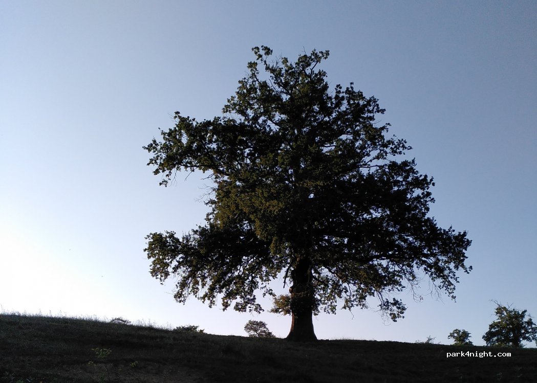 (03130) Le Donjon - D994 — foto