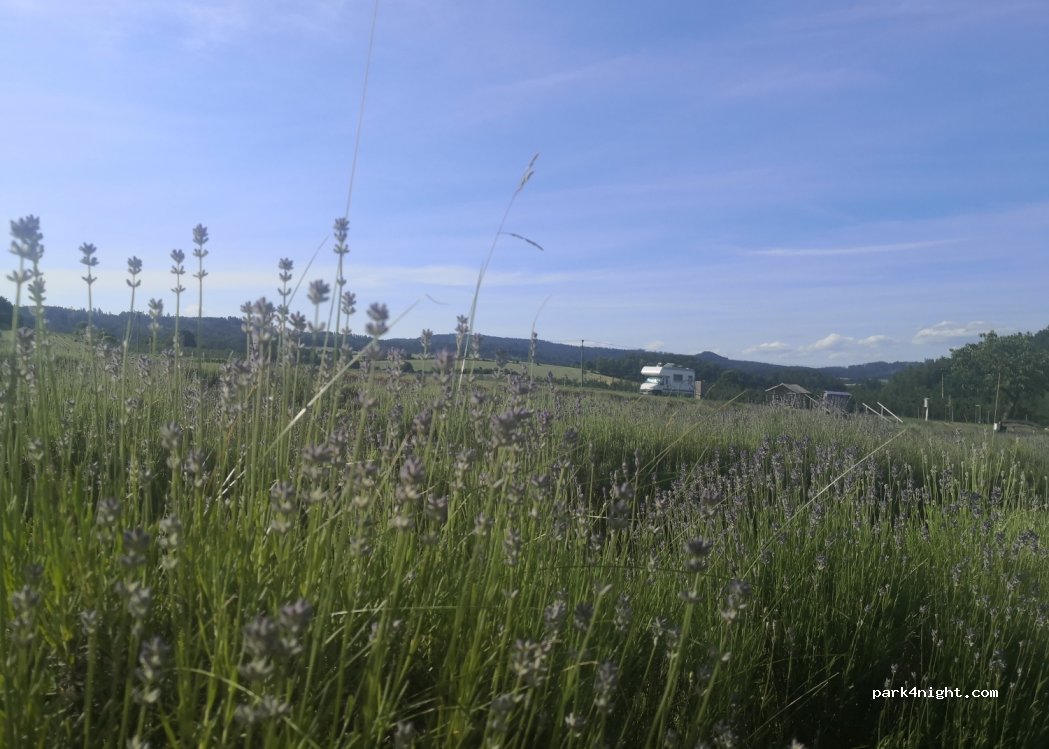 (789 73) Úsov - — foto 4