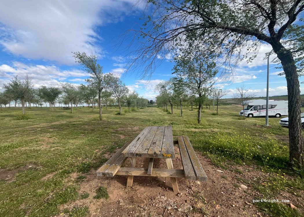 (45870) Lillo - Camino del Romeral a las Pueblas — foto 4