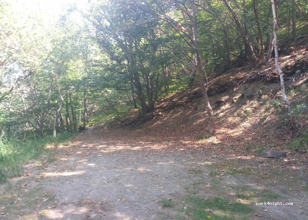 (10040) Fiola - 101-103 Strada Provinciale 193 — foto