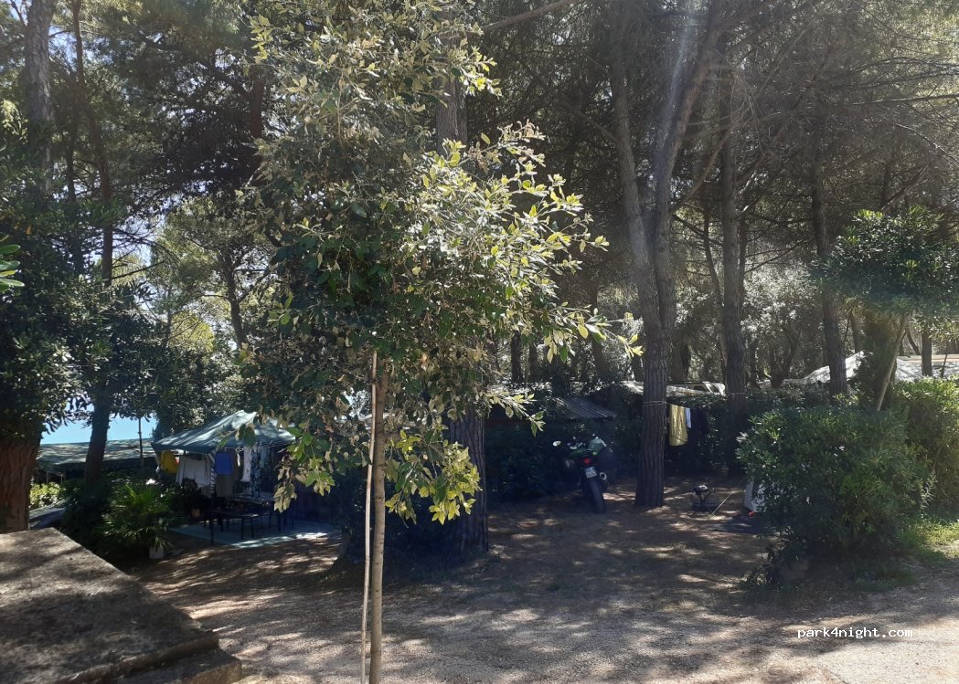 Camping Centro Turistico Belvedere — foto 3