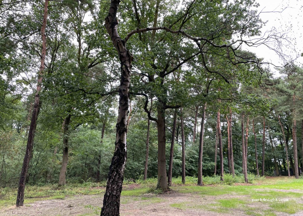 (49509) Recke - 5 Altwilmsdorfer Straße — foto