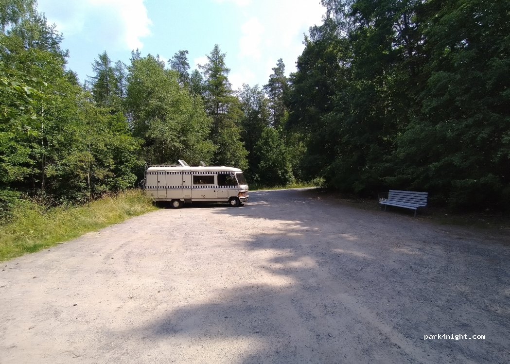 (95100) Selber Forst - Unnamed Road — foto