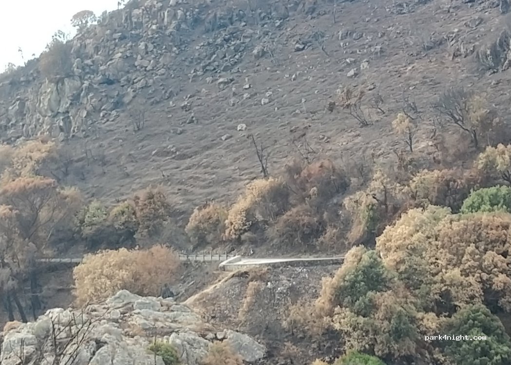 (09070) Santu Lussurgiu - Strada Provinciale 15 — foto 2
