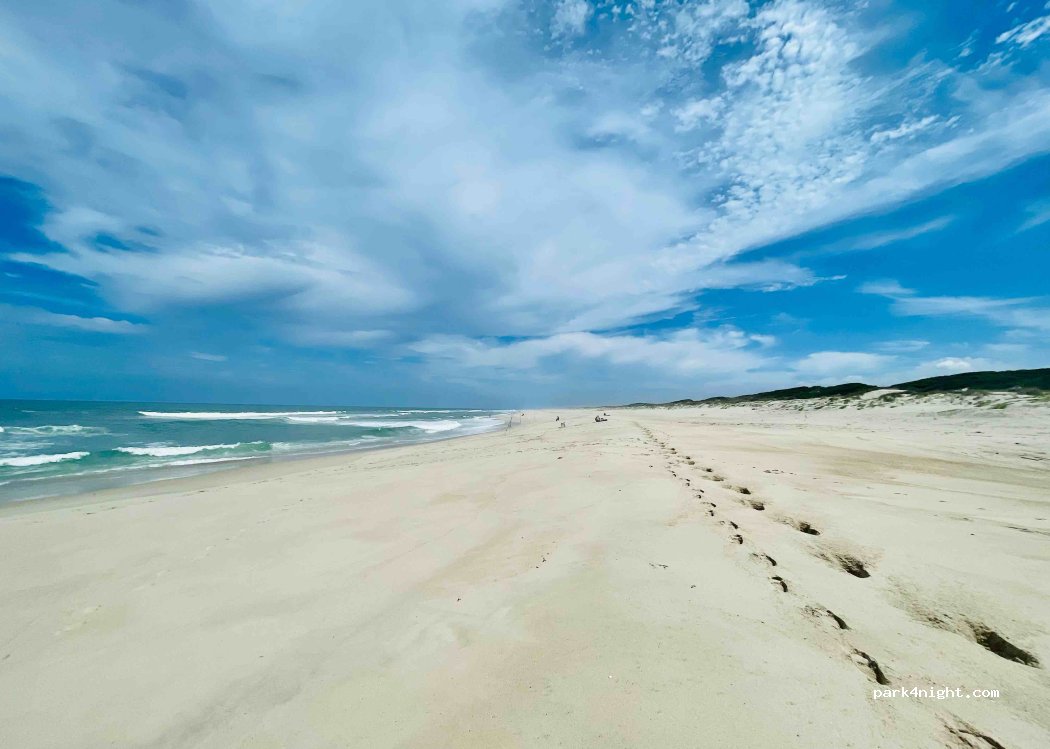 (3870-304) Torreira - Unnamed Road — foto 4