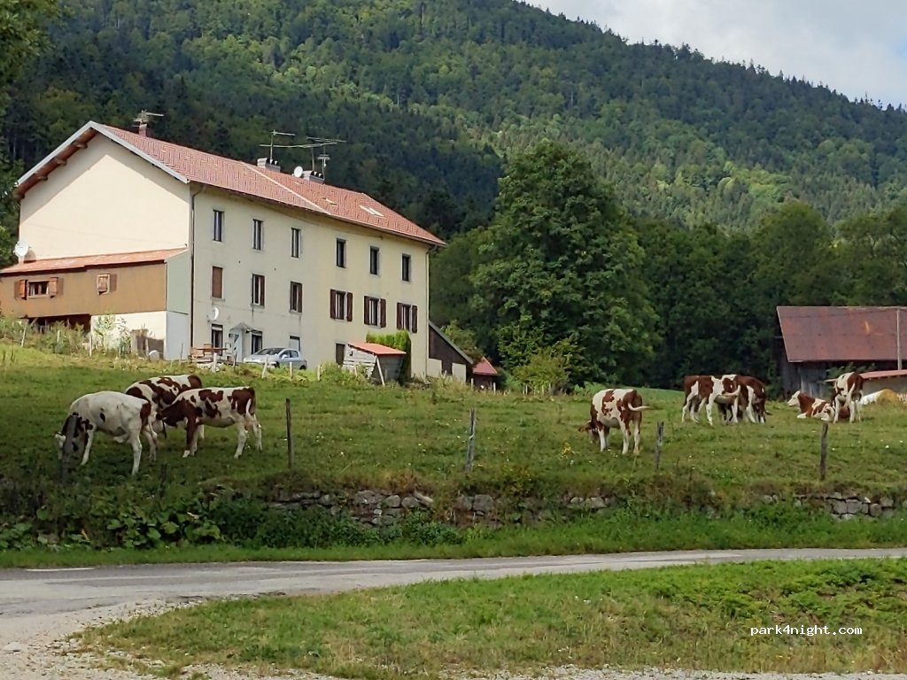 (25370) Jougne - 33 Rue des Forges — foto 2