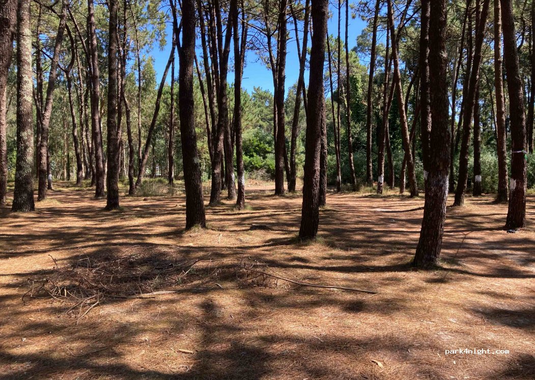(4740-263) Esposende - 10 Travessa da Avenida de Banhos — foto