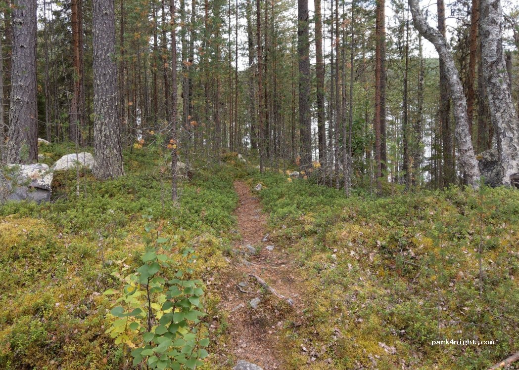 (962 99) Jokkmokk - Unnamed Road — foto 3