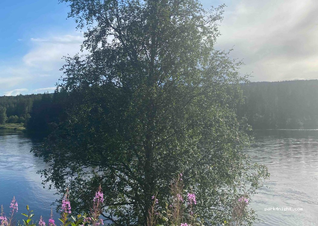 Trysil Hyttegrend & Camping — foto