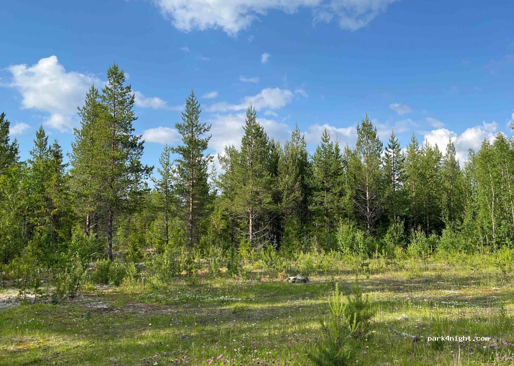 (830 04) Sällsjö - — foto