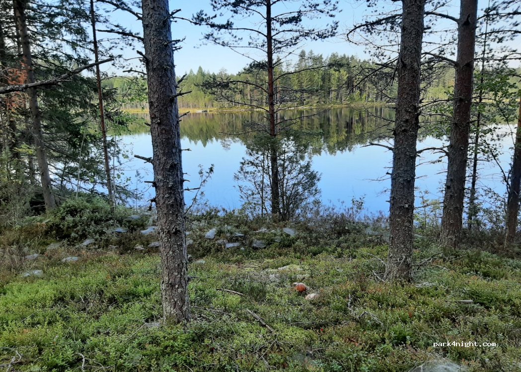 (82120) Joensuu - Unnamed Road — foto