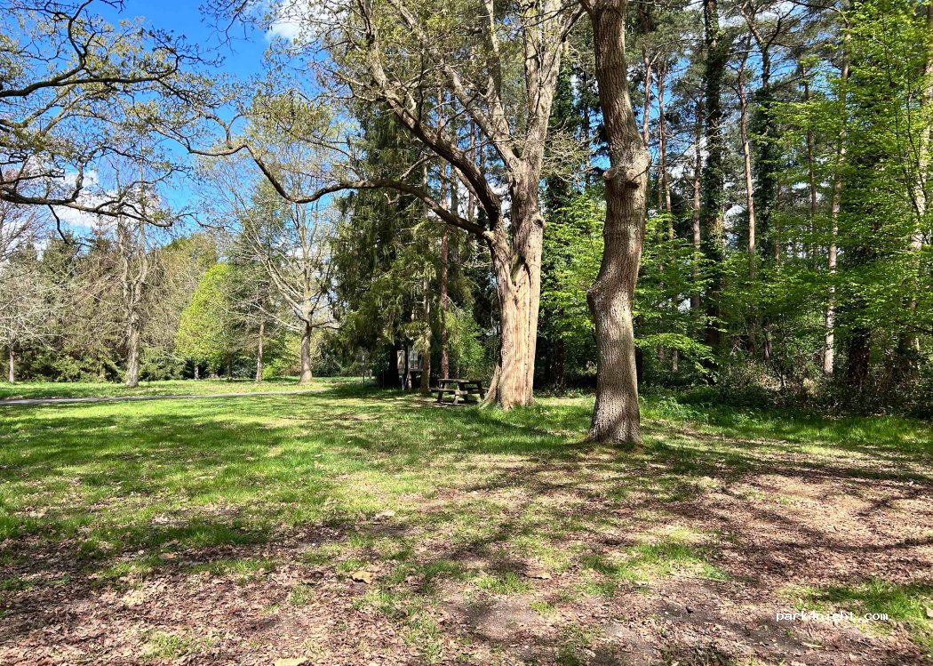 (76940) Vatteville-la-Rue - 780 Chemin de la Coutume — foto 5