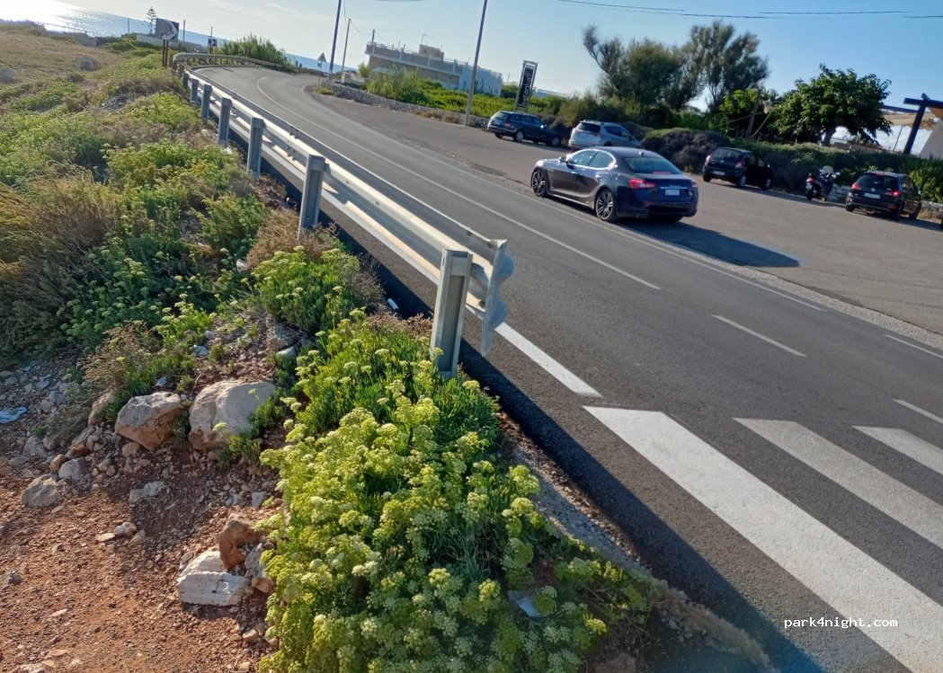 (73040) Apulia - Strada Provinciale214 — foto 3