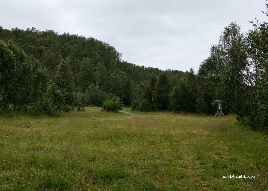 (9445) Tovik - 204 Rensådalen — foto
