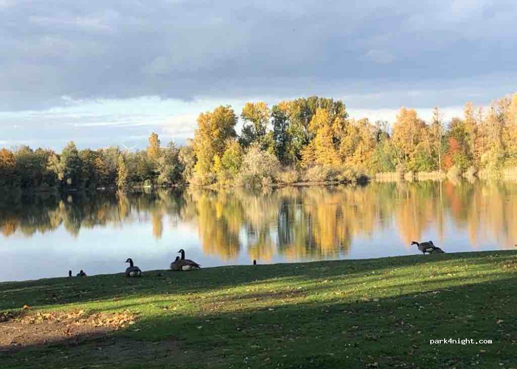 Campingplatz Lingenfeld — foto 4