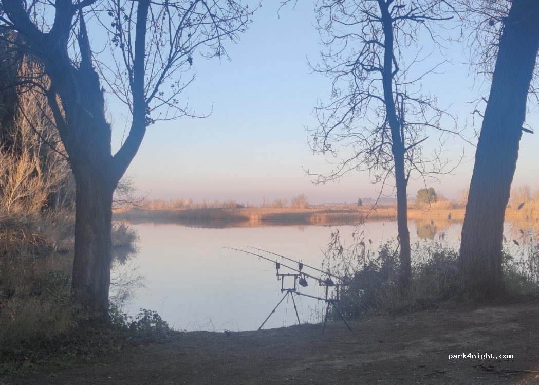 (25182) Torres de Segre - 3 Avinguda Pearson — foto 3