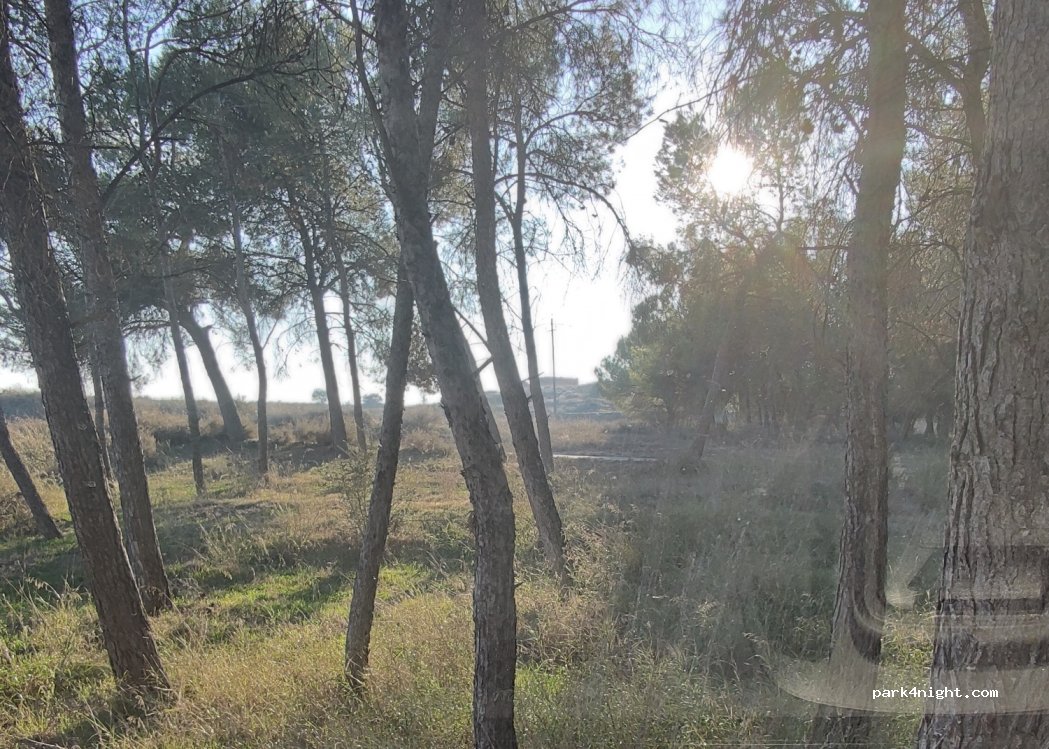 (25182) Torres de Segre - 3 Avinguda Pearson — foto 4