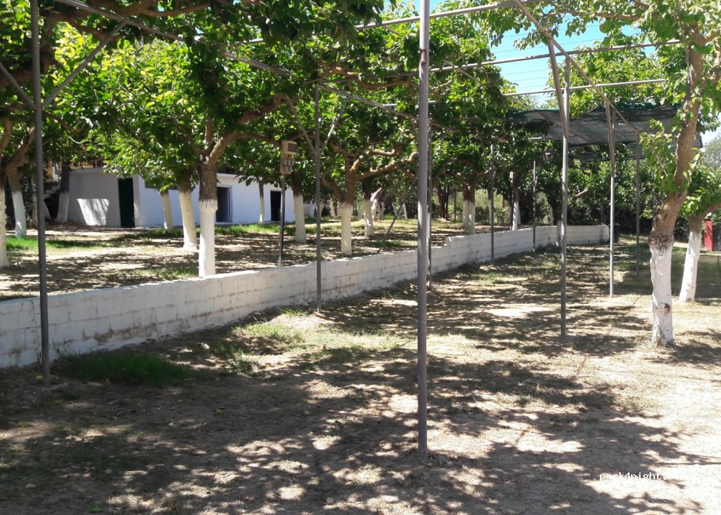 Camping Paradise — foto 3