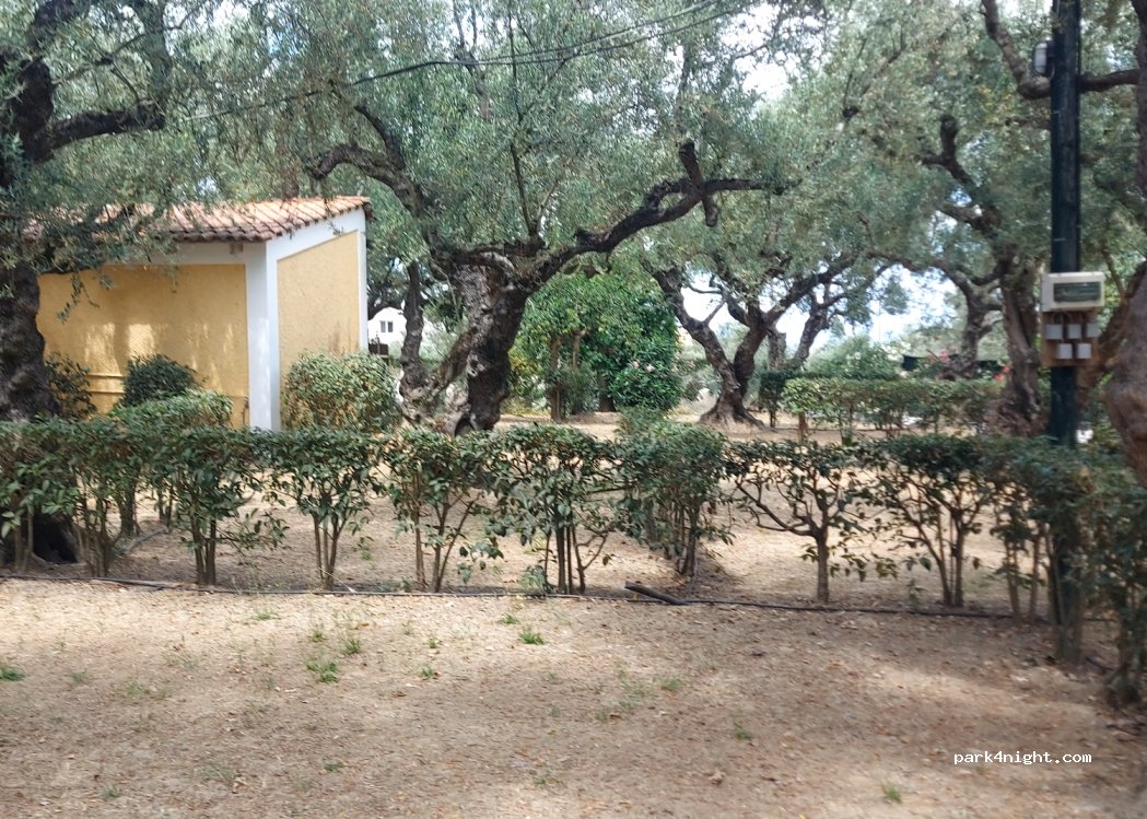 Camping Paradise — foto 4