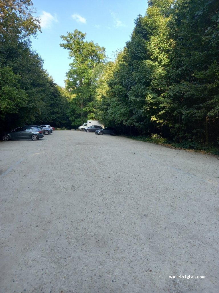 (91370) Verrières-le-Buisson - Route de Saint-Georges — foto