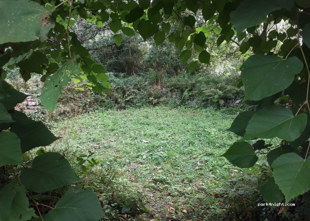 (TR4 9DJ) Allet Common - B3284 — foto